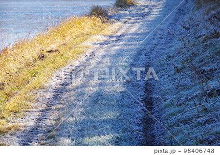 土手の下の畦道の草むらが霜で白くなっている光景 土手の下の畦道の草むらが霜で白くなっている光景 98406748