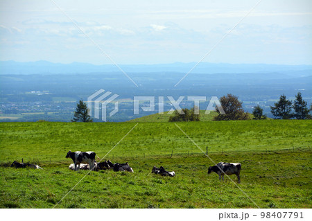 雄大なる十勝平野眺望の大パノラマ牧場!! 雄大なる十勝平野眺望の大パノラマ牧場!! 98407791