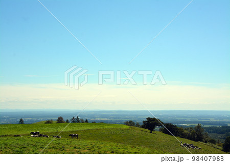 雄大なる十勝平野眺望の大パノラマ牧場!! 98407983