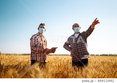 Two farmers in sterile medical masks with a tablet in their hands in a wheat field during pandemic. Two farmers in sterile medical masks with a tablet in their hands in a wheat field during pandemic. 98412992