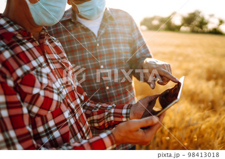 Two farmers in sterile medical masks with a tablet in their hands in a wheat field during pandemic. 98413018