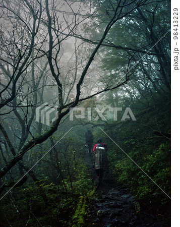 石鎚山　登山道 98413229