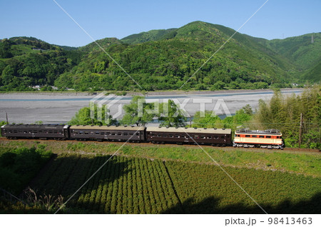 大井川鉄道 大和田付近茶畑 電気機関車急行 98413463