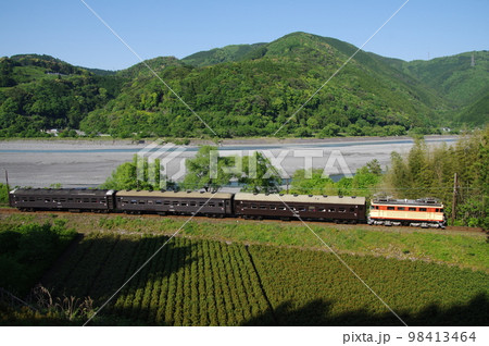 大井川鉄道 大和田付近茶畑 電気機関車急行 98413464