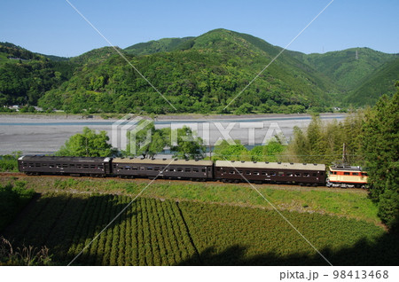 大井川鉄道 大和田付近茶畑 電気機関車急行 98413468