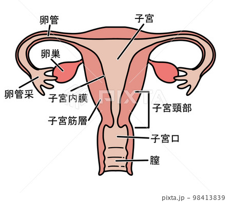子宮（文字あり） 98413839