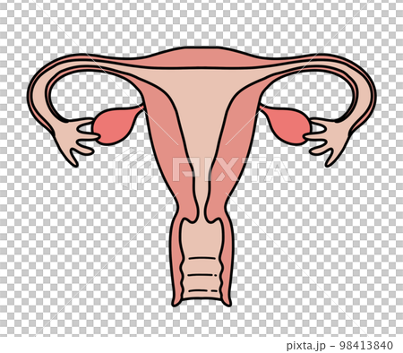 uterus (no letters) 98413840
