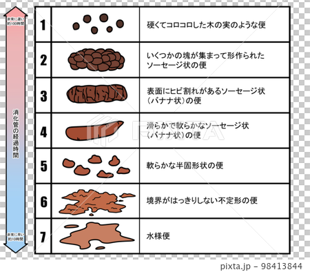ブリストル便性状スケール 98413844