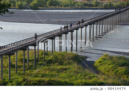 静岡 島田 蓬莱橋 全景 98414474