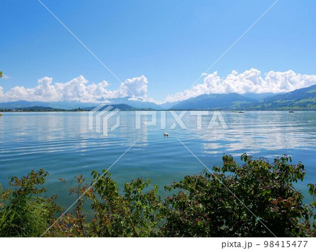 チューリッヒ湖（オーバー湖）の景色　（スイス） 98415477