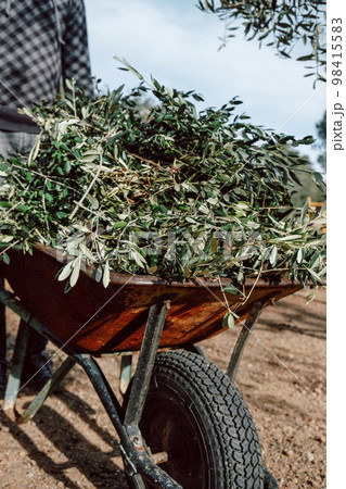 man pushing a rusty wheelbarrow full of branches 98415583