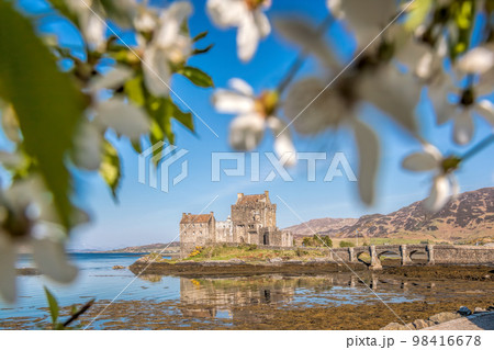 Spring trees against Eilean Donan Castle at Kyle of Lochalsh in the Western Highlands of Scotland 98416678
