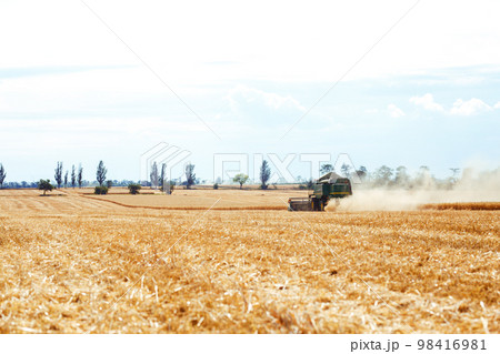 Time to harvest! Beautiful view of the work of the combine harvesting wheat. Harvester machine. Time to harvest! Beautiful view of the work of the combine harvesting wheat. Harvester machine. 98416981