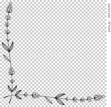 繊細な植物や花のボタニカルコーナーフレーム　ベクター素材 98418269