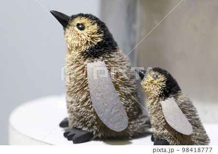 たわしペンギンの親子 98418777