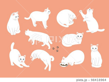白猫のいろいろなポーズのイラスト 98418964