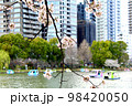 【東京】春の上野　不忍池のボートと桜 98420050