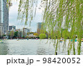 【東京】春の上野　不忍池に映える柳 98420052