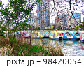 【東京】春の上野　不忍池のボートと桜 98420054