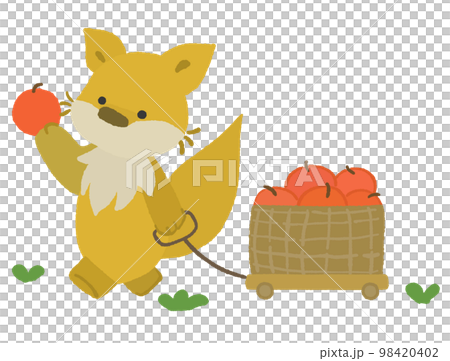りんごを運ぶかわいいきつねのイラスト りんごを運ぶかわいいきつねのイラスト 98420402