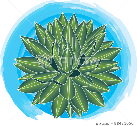 Illustration of cactus plant on blue circle background. Illustration of cactus plant on blue circle background. 98421056