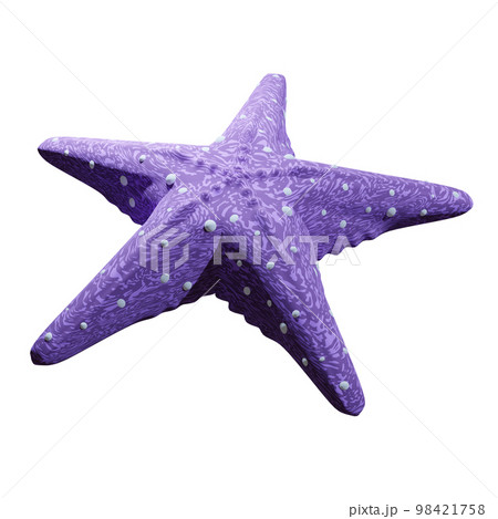 3D rendering starfish with five legs, tentacle rays. Marine life on coral reefs. Realistic PNG illustration isolated on transparent background 3D rendering starfish with five legs, tentacle rays. Marine life on coral reefs. Realistic PNG illustration isolated on transparent background 98421758