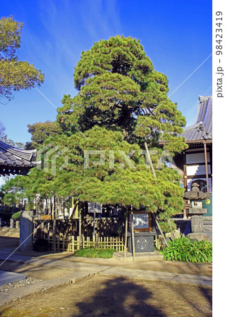 国土安穏寺(足立) 国土安穏寺(足立) 98423419