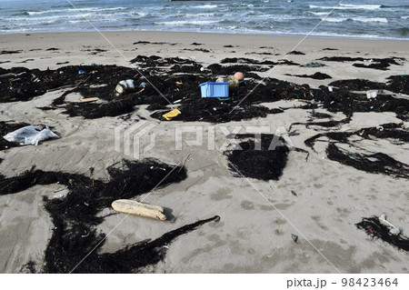 海辺の海藻とゴミ 海岸の漂着物 98423464