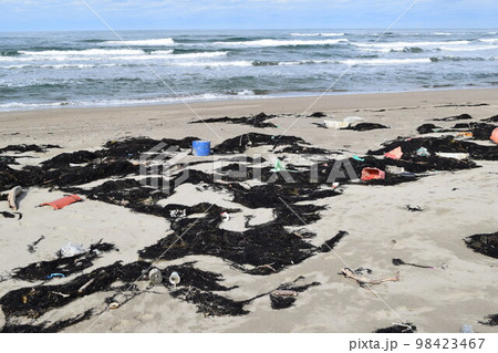 海辺の海藻とゴミ 海岸の漂着物 98423467
