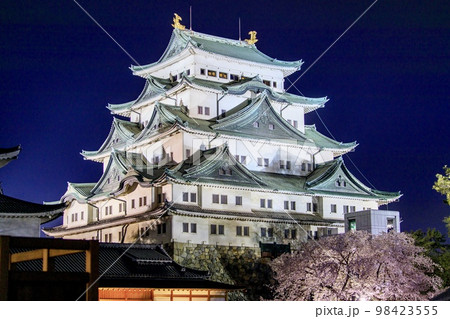 名古屋市　名古屋城のライトアップと満開の桜 98423555
