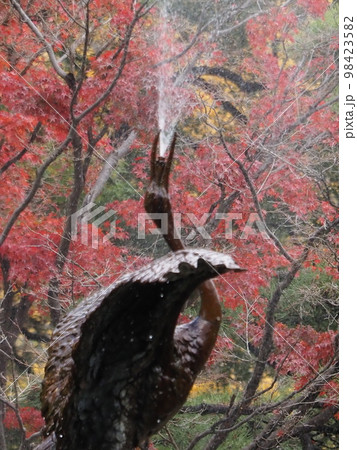 2023日比谷公園の紅葉 2023日比谷公園の紅葉 98423582