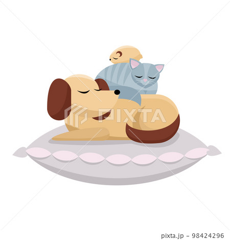 Flat cartoon vector illustration cat and hamster sleeps comfortably on dog. Sweet dreams of furry friends. Cute best friends sleeping dog, cat, hamster on pink pillow on white background 98424296