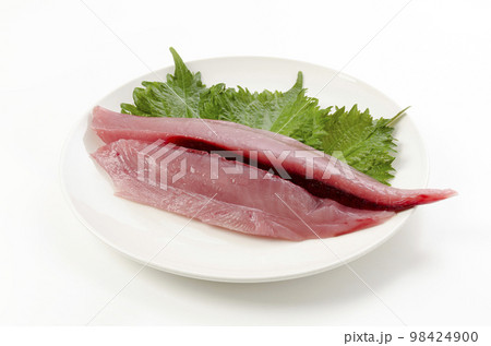 シビマグロの冊 シビマグロの冊 98424900