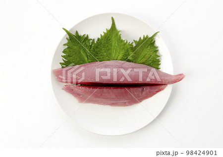 シビマグロの冊 98424901