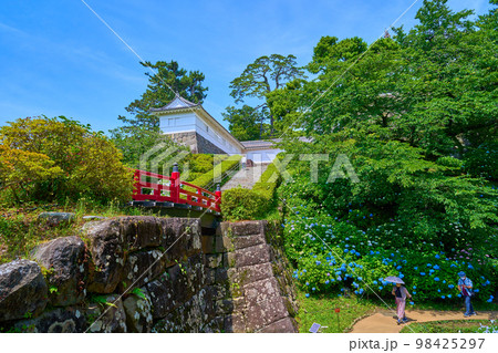 神奈川県小田原市の小田原城址公園の北側の花菖蒲園から常盤木橋,常盤木門方面を見る 98425297