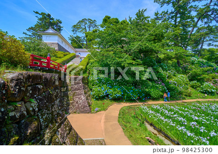 神奈川県小田原市の小田原城址公園の北側の花菖蒲園から常盤木橋,常盤木門方面を見る 98425300
