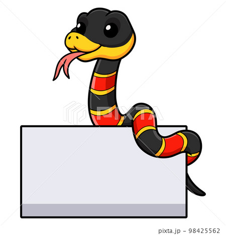 Cute happy coral snake cartoon with blank sign Cute happy coral snake cartoon with blank sign 98425562