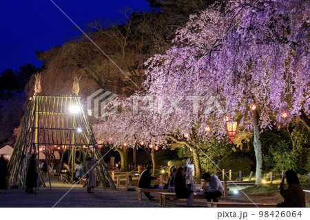 名古屋城 名古屋城桜祭りの賑わいの様子 名古屋城 名古屋城桜祭りの賑わいの様子 98426064