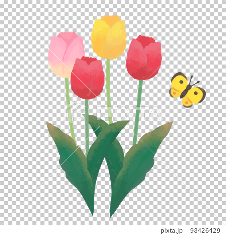 繪本風格的可愛鬱金香插畫 98426429