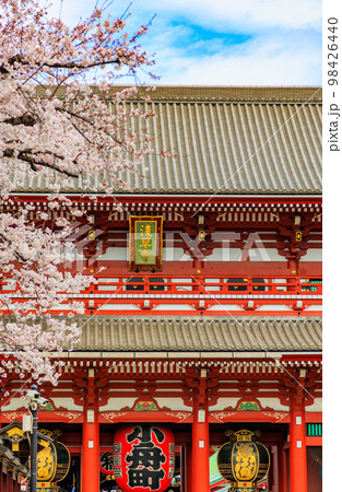 東京 台東区 浅草寺と満開の桜 東京 台東区 浅草寺と満開の桜 98426440