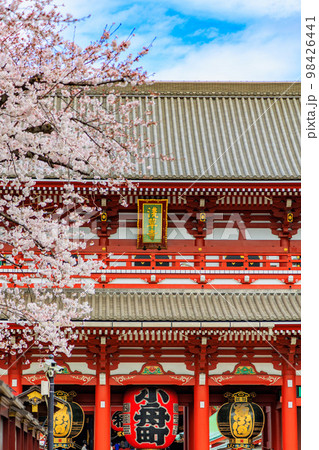 東京　台東区　浅草寺と満開の桜 98426441
