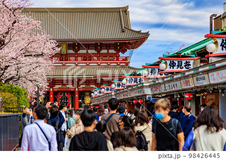 東京　台東区　浅草寺と満開の桜 98426445