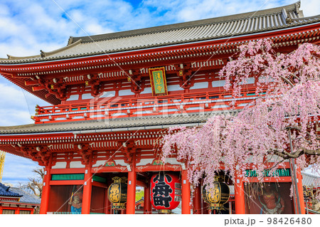 東京 台東区 浅草寺と満開の桜 東京 台東区 浅草寺と満開の桜 98426480
