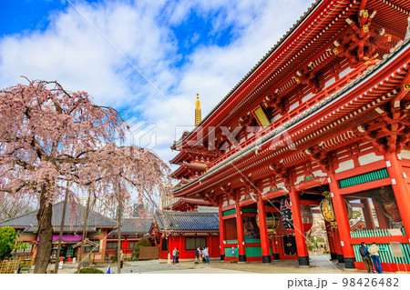 東京 台東区 浅草寺と満開の桜 東京 台東区 浅草寺と満開の桜 98426482