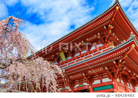 東京 台東区 浅草寺と満開の桜 東京 台東区 浅草寺と満開の桜 98426483