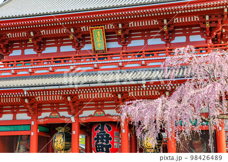 東京 台東区 浅草寺と満開の桜 東京 台東区 浅草寺と満開の桜 98426489