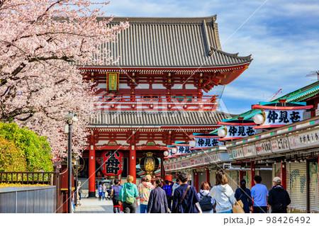 東京 台東区 浅草寺と満開の桜 東京 台東区 浅草寺と満開の桜 98426492