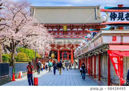 東京　台東区　浅草寺と満開の桜 98426495