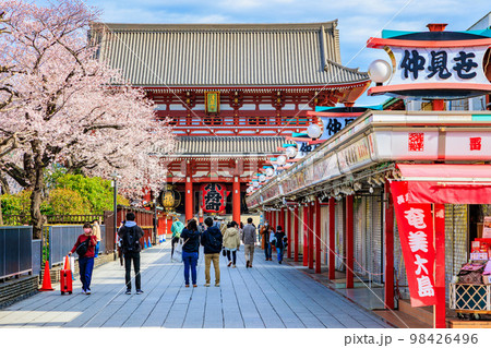 東京 台東区 浅草寺と満開の桜 東京 台東区 浅草寺と満開の桜 98426496