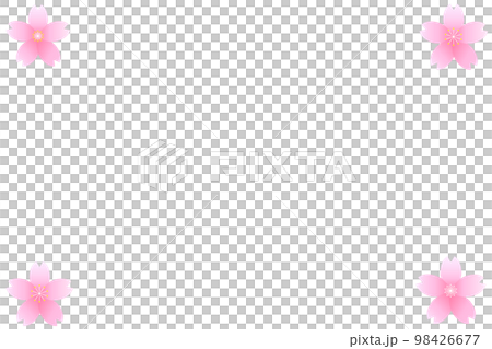 Cherry Blossoms   98426677